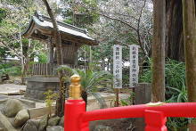 白浜神社(伊古奈比咩命神社)  34