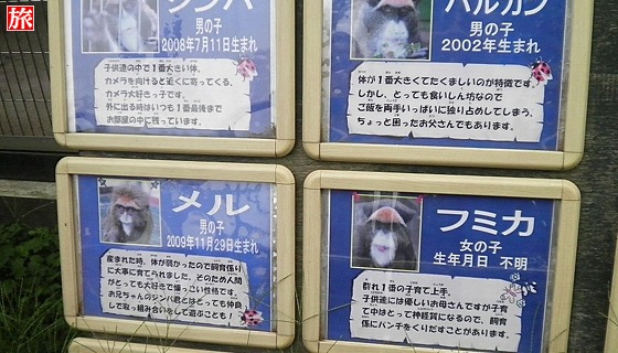 東武動物公園 観光 旅案内 たびあん