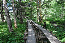 河童橋・明神自然探勝路