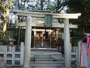 八坂神社(京都市)
