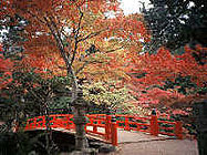 紅葉谷公園(廿日市市)