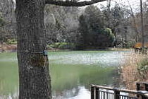 宅部池(たっちゃん池)