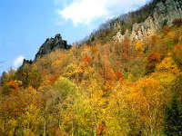 層雲峡 1層雲峡の紅葉