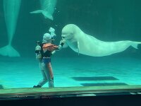 鴨川シーワールド 2