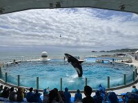 鴨川シーワールド 3