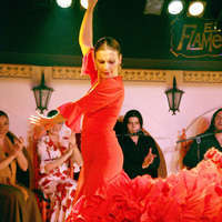 EL FLAMENCO 1