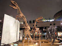 福井県立恐竜博物館 1