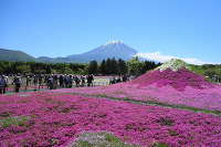 富士本栖湖リゾート