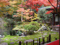 慈恩禅寺庭園てっ草園 1