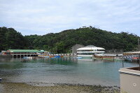 下田海中水族館