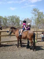 与那国馬ふれあい牧場