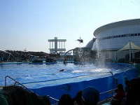 名古屋港水族館 1