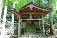 三千院 紫陽花苑