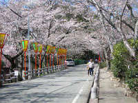 龍野公園・聚遠亭 1