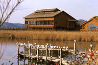 米子水鳥公園 1