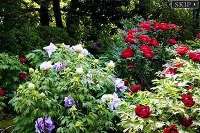 日本庭園由志園