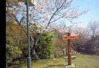 白野江植物公園