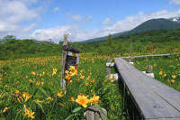 世界谷地原生花園