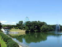 観音さくらの里