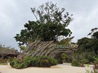 ジャングリア沖縄