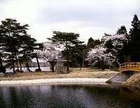 きつねうち温泉