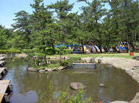 双葉海浜公園キャンプ場 1