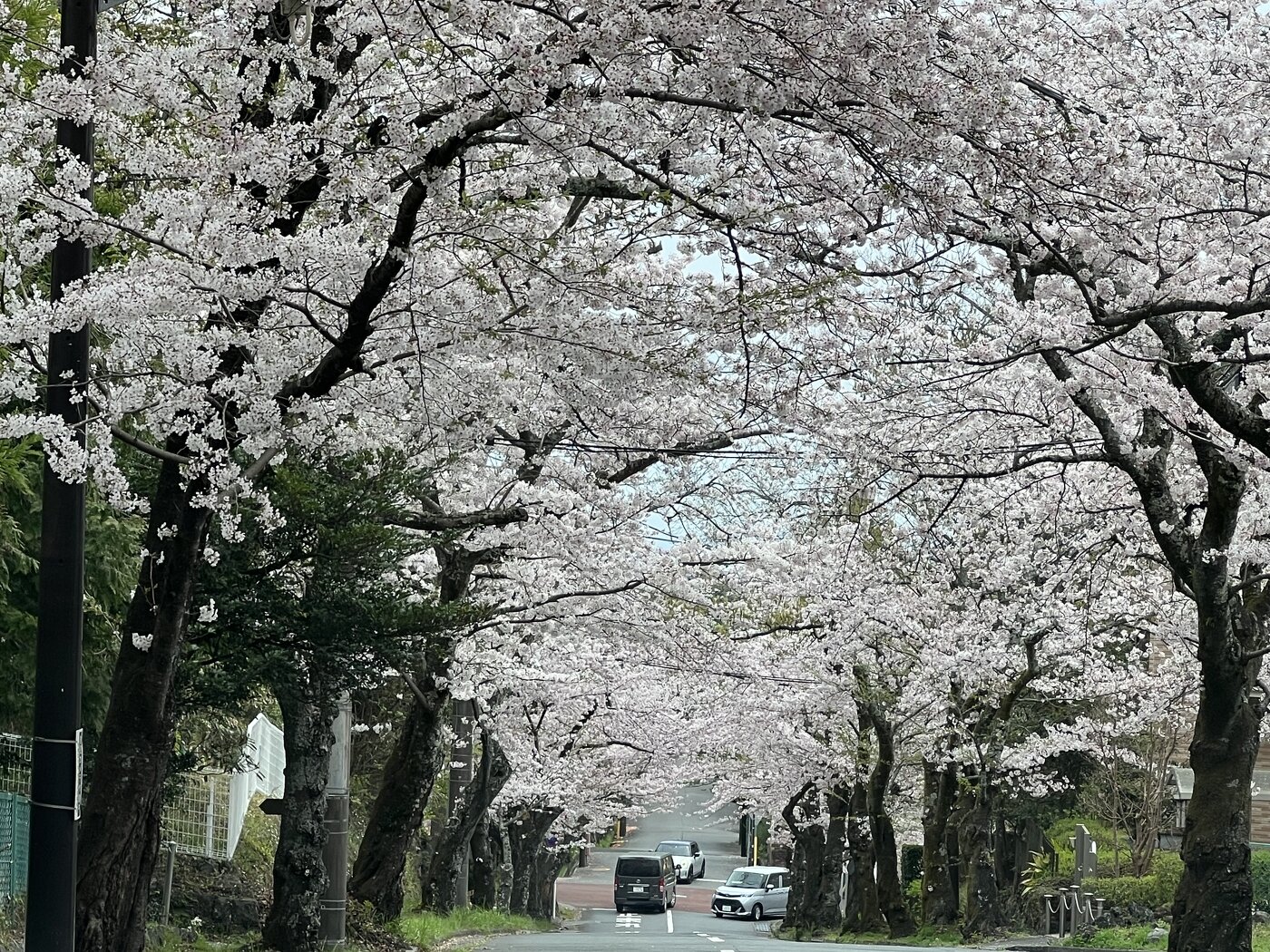 伊豆高原