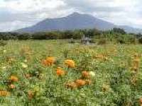 小貝川ふれあい公園