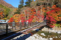 紅の吊橋