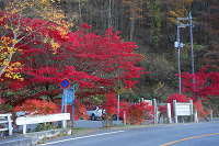 日塩もみじライン