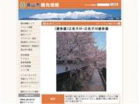 江名子川橋めぐり