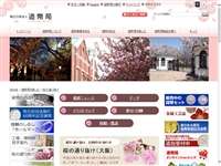 造幣局桜の通り抜け