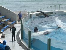 鴨川シーワールド 1