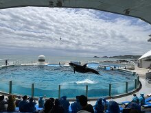 鴨川シーワールド 2