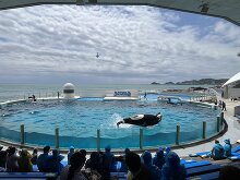 鴨川シーワールド 4