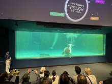 鴨川シーワールド 5