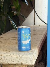 沖縄美ら海水族館 35