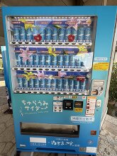 沖縄美ら海水族館 36