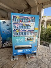 沖縄美ら海水族館 37