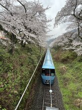 山北鉄道公園  1