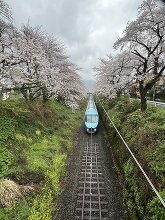 山北鉄道公園  2