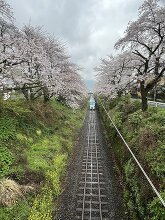 山北鉄道公園  3