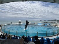 鴨川シーワールド 1-1