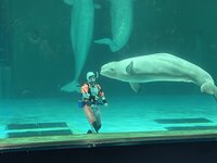 鴨川シーワールド 1-2