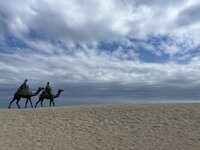 月の沙漠記念館 1-1