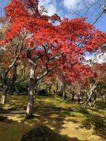 箱根美術館 3-2