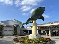 沖縄美ら海水族館 2-1