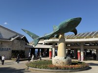沖縄美ら海水族館 3-1