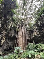 ガンガラーの谷 1-2