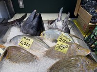 うるマルシェ 1-2